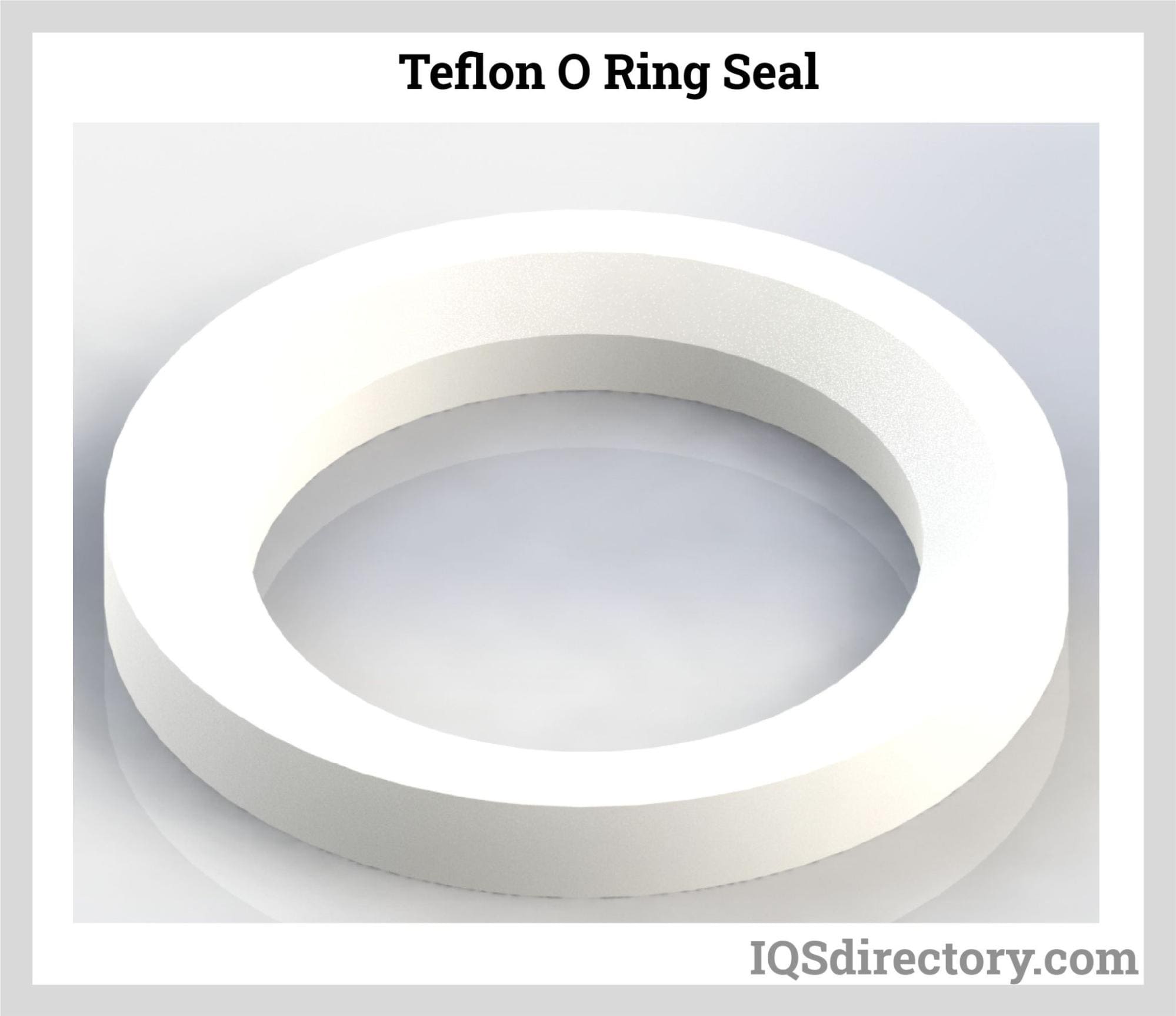 Teflon O Ring Seal